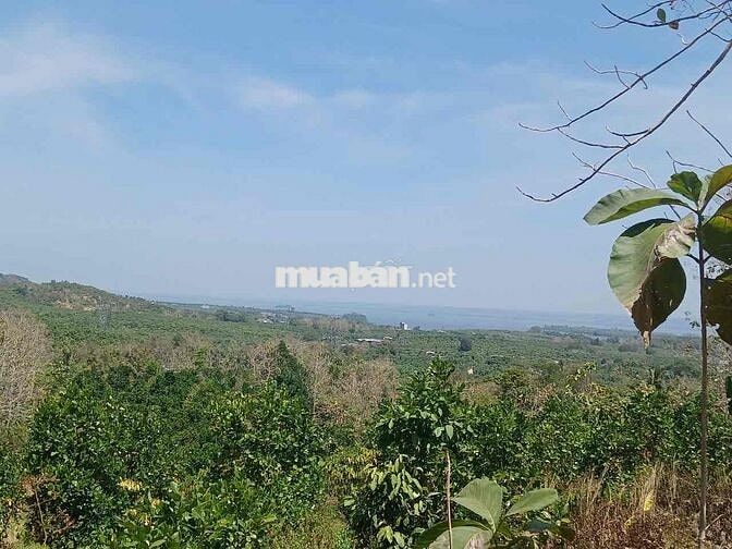 Bán 8000m2 đất Xã La Ngà, Tp Tw Đồng Nai QL20 view săn mây tuyệt đẹp