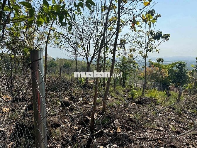 Bán 8000m2 đất Xã La Ngà, Tp Tw Đồng Nai QL20 view săn mây tuyệt đẹp