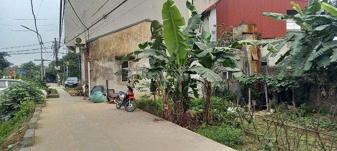 Cho thuê nhà 3 tầng 120m2 tại La Tinh, Đông La, Hoài Đức, HN. 6.5 tr