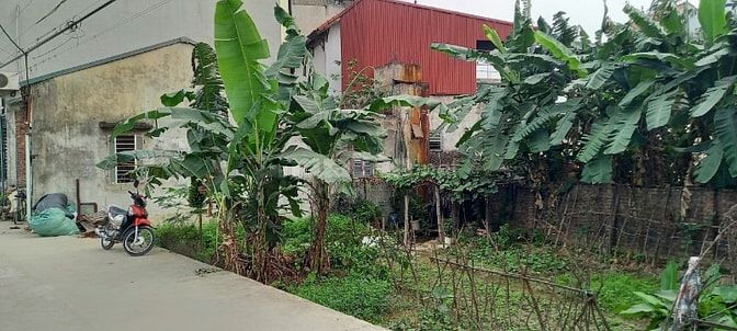 Cho thuê nhà 3 tầng 120m2 tại La Tinh, Đông La, Hoài Đức, HN. 6.5 tr