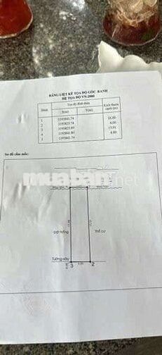 HIẾM! ĐẤT ĐẸP 64M² – GẦN TRƯỜNG HOÀNG VĂN THỤ – BÌNH TÂN 