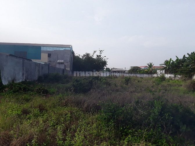 ĐẤT VƯỜN TÂN AN HỘI CỦ CHI TIỀM NĂNG SINH LỢI TỐT
