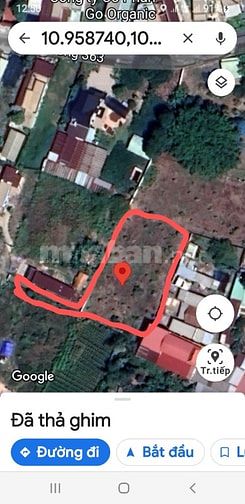 ĐẤT VƯỜN TÂN AN HỘI CỦ CHI TIỀM NĂNG SINH LỢI TỐT