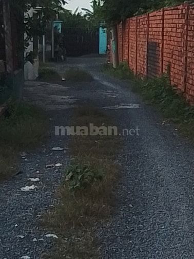 ĐẤT VƯỜN TÂN AN HỘI CỦ CHI TIỀM NĂNG SINH LỢI TỐT