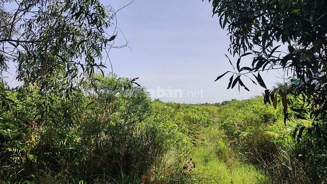 Bán đất mặt tiền đường kênh Sáu Ầu, tỉnh Tiền Giang (cũ)