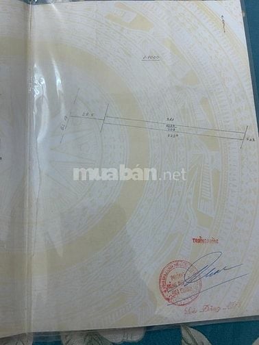 Bán đất tại ấp 2, Quốc Lộ 13, 2,5 tỷ, 708 m2, giá tốt uy tín (6x118m2)
