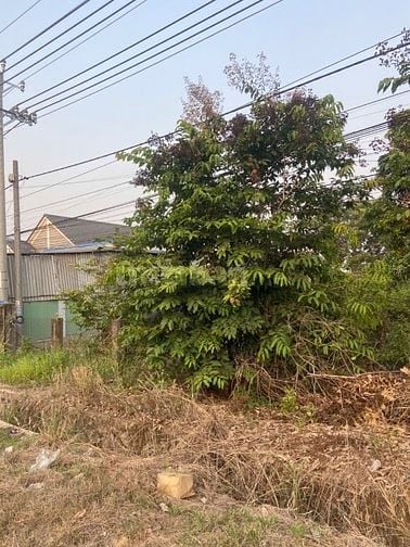 Bán đất tại ấp 2, Quốc Lộ 13, 2,5 tỷ, 708 m2, giá tốt uy tín (6x118m2)