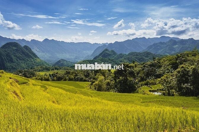 Bán đất 4.800m² Thôn Đôn, Pù Luông, Thanh Hoá