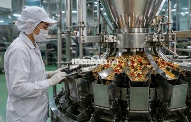 CÔNG NHÂN SẢN XUẤT GIA VỊ - CA HÀNH CHÍNH