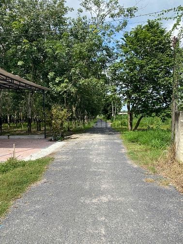BÁN ĐẤT CHÍNH CHỦ, THỔ CỨ 