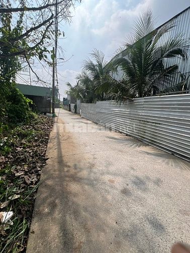 Cho thuê nhà xưởng có điện 3 pha