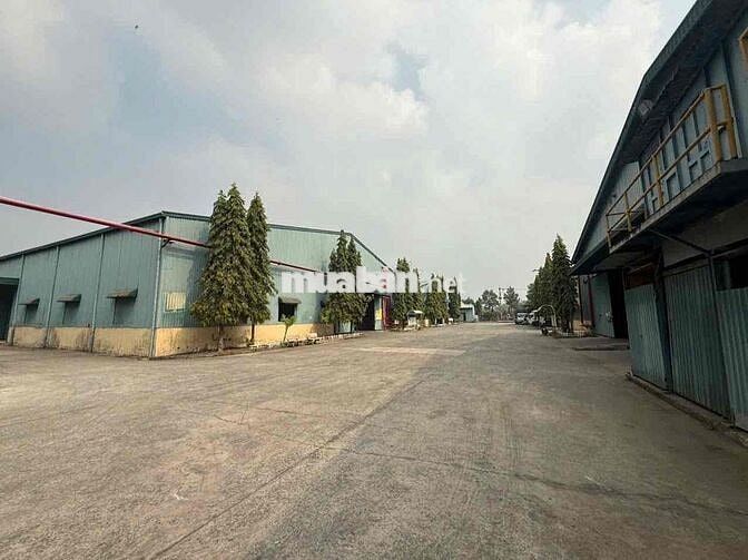 CHO THUÊ KHO 2.600M² – TP. THỦ DẦU MỘT, BÌNH DƯƠNG 📍 Vị trí: Gần KCN S