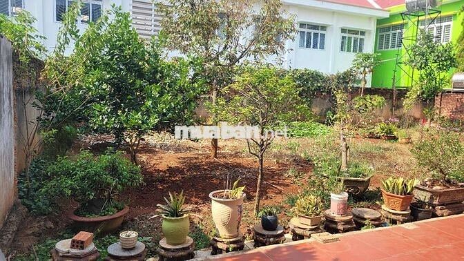 ​[Bán Đất] Góc nhỏ yên tĩnh tại Tân Hòa, Buôn Ma Thuột 