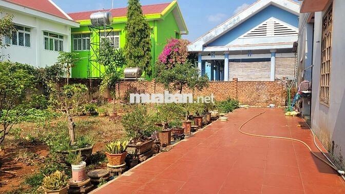 ​[Bán Đất] Góc nhỏ yên tĩnh tại Tân Hòa, Buôn Ma Thuột 