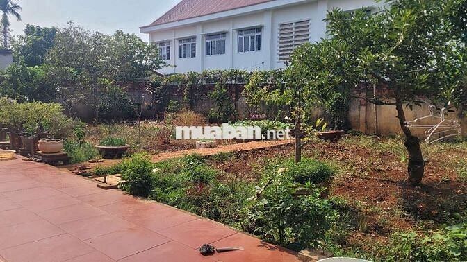 ​[Bán Đất] Góc nhỏ yên tĩnh tại Tân Hòa, Buôn Ma Thuột 