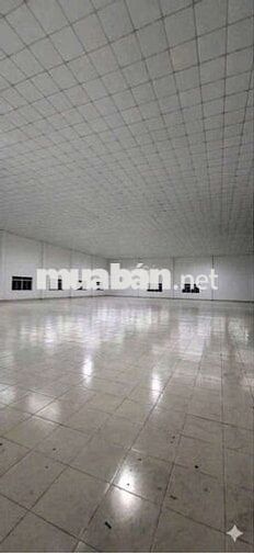 chính cho thuê bà điểm hóc môn giá 90tr