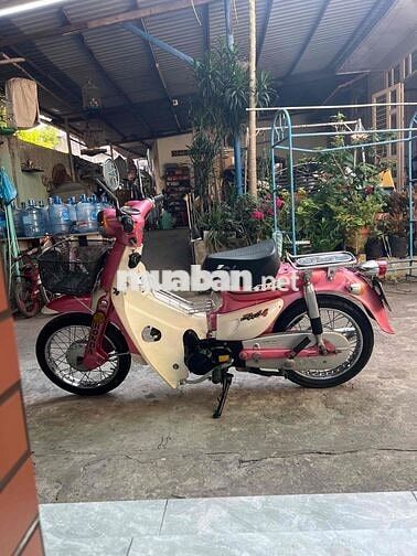 Honda Little Cub 50 Hồng