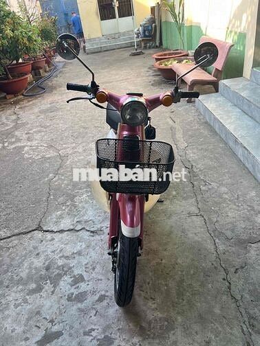Honda Little Cub 50 Hồng