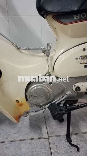 Honda Super Cub 81/50 