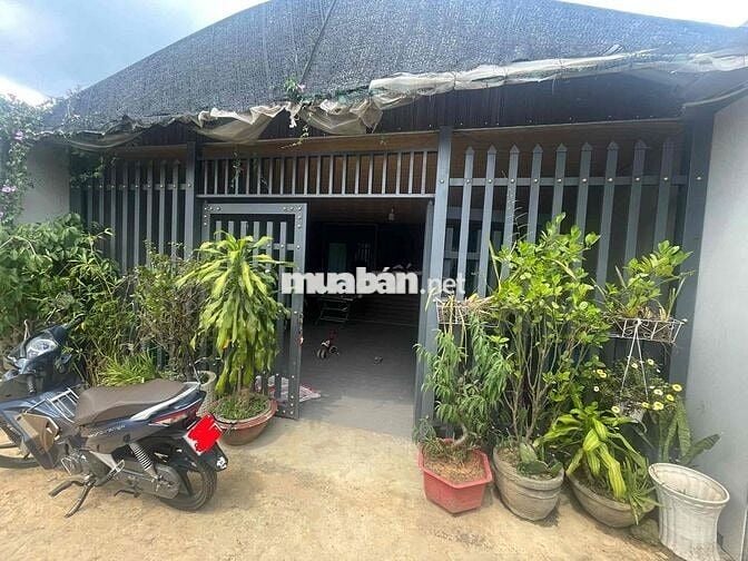 NHÀ CHO THUÊ CHÍNH CHỦ HẺM HUỲNH TẤN PHÁT PHƯỜNG 11