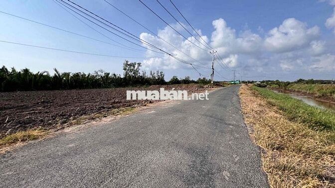 Đất Mặt Tiền Đường Huyện 85C Nhựa view Nhà Vườn Miền Tây