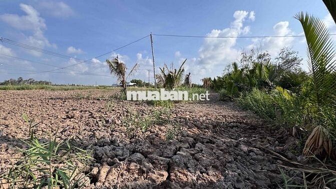 Đất Mặt Tiền Đường Huyện 85C Nhựa view Nhà Vườn Miền Tây