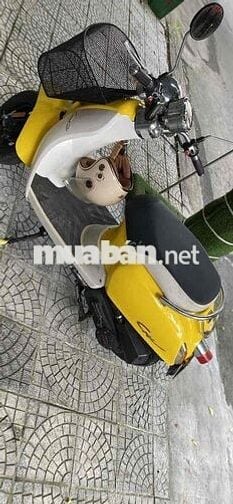 Honda Crea 50cc Vàng