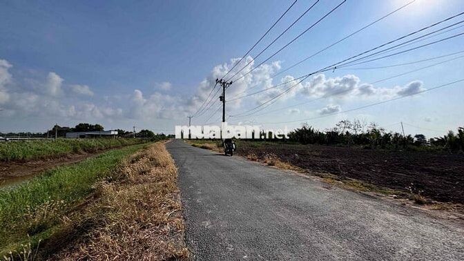 Đất Mặt Tiền Đường Huyện 85C Nhựa view Nhà Vườn Miền Tây