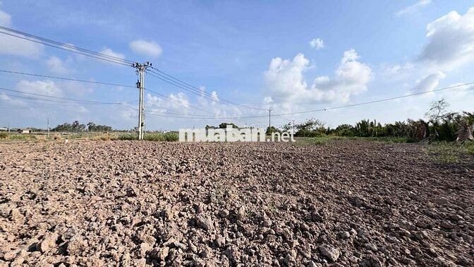 Đất Mặt Tiền Đường Huyện 85C Nhựa view Nhà Vườn Miền Tây