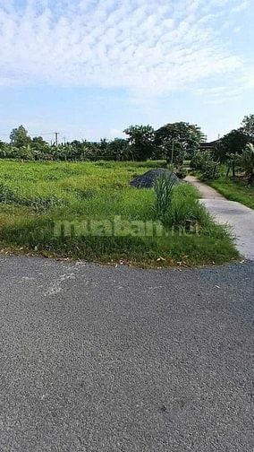 Định Cư Bán 177m2 Đất Thổ Cư Mặt Tiền Đường 20m ở TP Tân An Long An