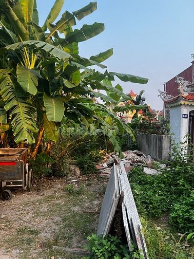 NAM ĐỒ SƠN – GIÁ ĐANG TỐT HƠN MẶT BẰNG KHU