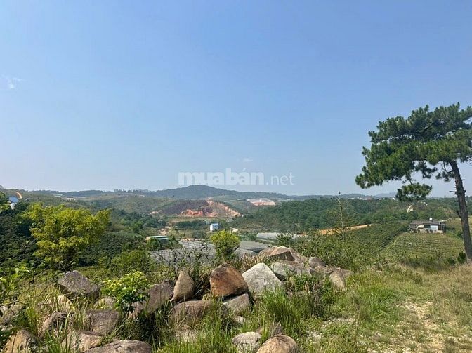 Chuyển nhượng KDL chủ quyền tư nhân tại 2MT Hoa và Biển, Lạc Dương, ĐL
