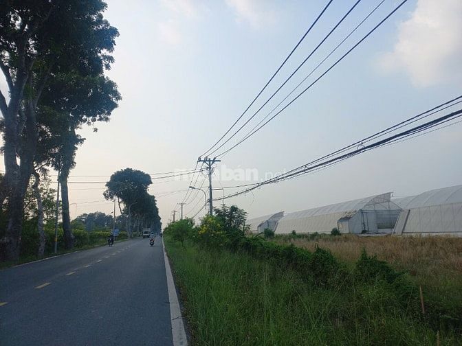 Bán đất mặt tiền Bùi Thị Điệt,  Củ Chi, 9x65m thổ cư 100%, vuông vức