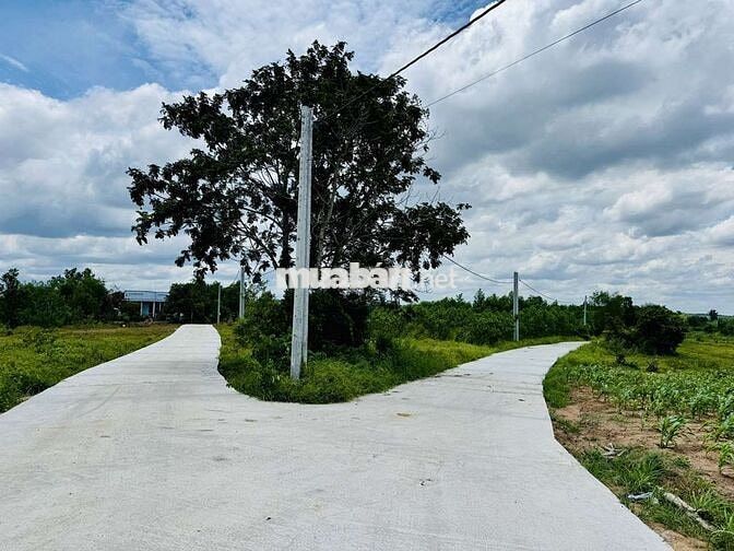 Chính chủ bán lỗ vốn, công chứng gấp