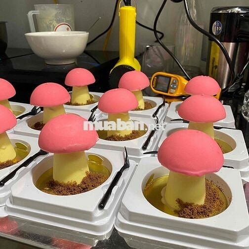 SANG TIỆM BÁNH NGAY TRƯỜNG HỌC CẤP 3 , SÁT TRƯỜNG ĐẠI HỌC