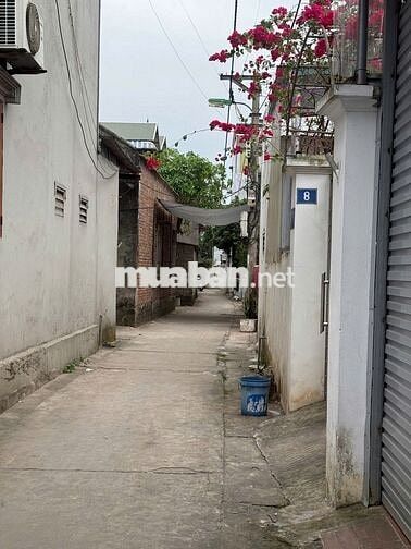 ĐẦU TƯ ĐỈNH NHÀ SẴN ÔTÔ THÔNG KINH DOANH TỐT DÒNG TIỀN HÀNG THÁNG 