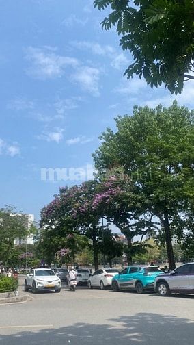 Bán chung cư Mi ni mặt tiền phố Phúc Tân 