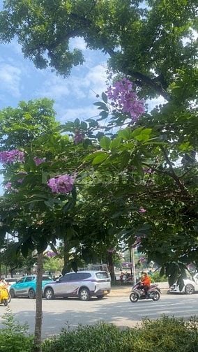 Bán chung cư Mi ni mặt tiền phố Phúc Tân 