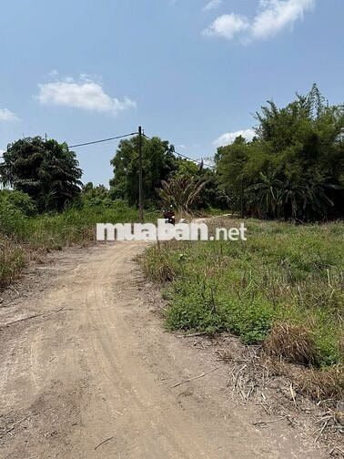 BÁN ĐẤT 1450m² GẦN KCN LÊ MINH XUÂN – GIÁ TỐT