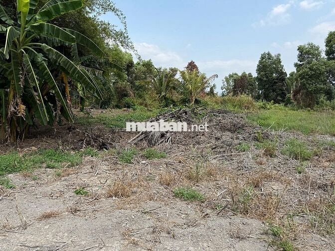 BÁN ĐẤT 1450m² GẦN KCN LÊ MINH XUÂN – GIÁ TỐT