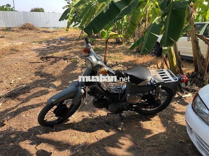 Honda Cub màu Xám