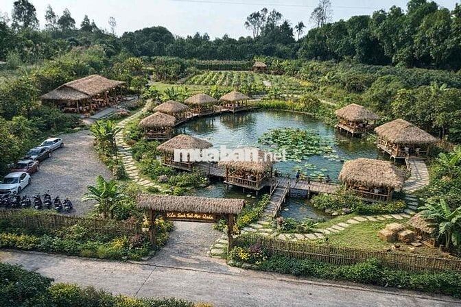 Bán đất làm farmstay, homstay, nghỉ dưỡng  diện tích lớn, mặt tiền to