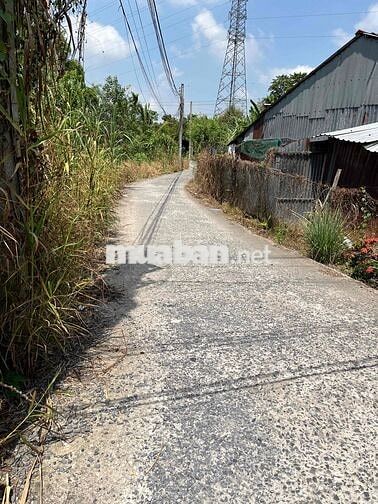 Chính chủ bán gấp 280m² đất Trường Lạc, Ô Môn, 50m thổ cư, giáp sông,