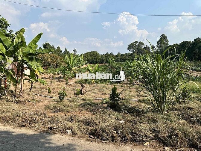 Bán đất làm farmstay, homstay, nghỉ dưỡng  diện tích lớn, mặt tiền to