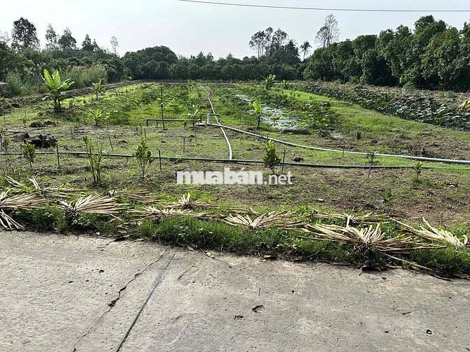 Bán đất làm farmstay, homstay, nghỉ dưỡng  diện tích lớn, mặt tiền to