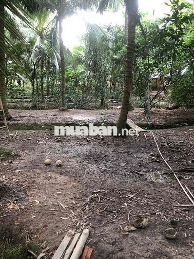 Đất vườn Chánh Nghĩa nhánh Bùi Quốc Khánh có 2lối 4.500m2