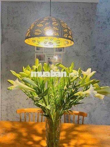 Cho thuê nhà đẹp gần Bùi Tá Hán