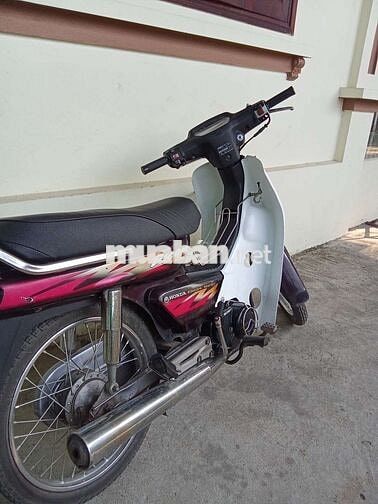 Honda Dream Tím trắng
