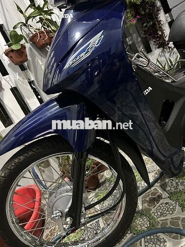 Honda Wave Alpha 2024 Xanh