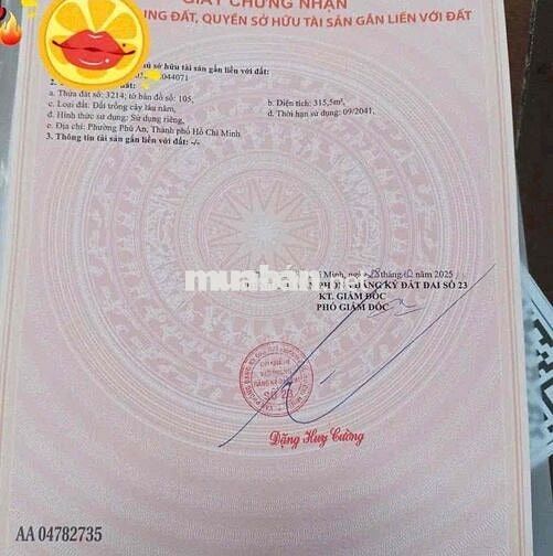 Đất Hiệp An gần chợ Bung Cầu 1/ Phan Đăng Lưu vào 300m tới đất 6,5x50